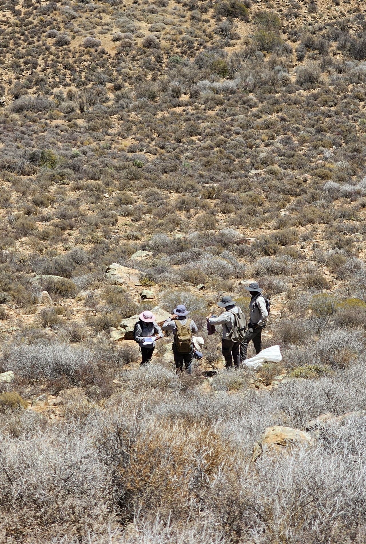 Muestras Geológicas - Terra Minerals Group