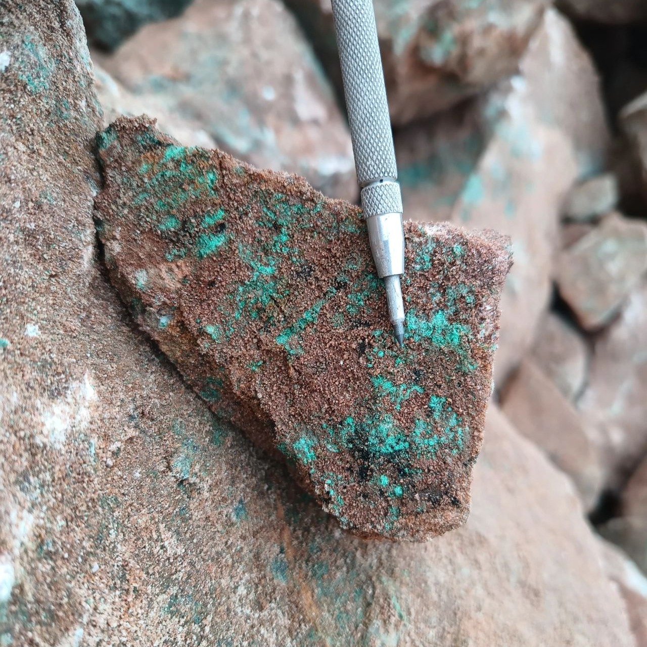 Muestras Geológicas - Terra Minerals Group