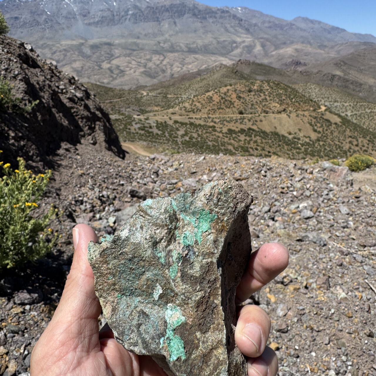 Análisis Mineralógico - Terra Minerals Group